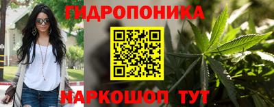 бошки Новокубанск