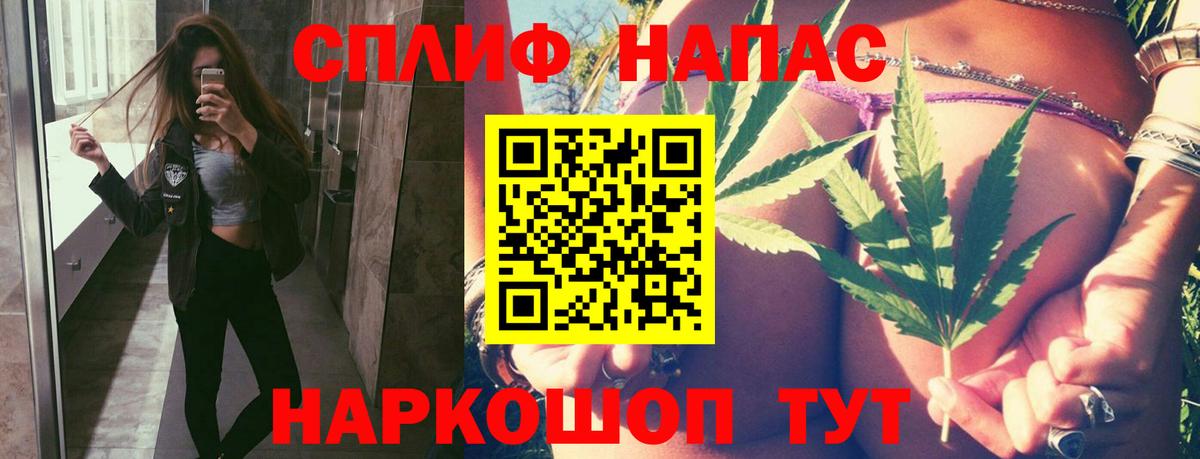 Конопля индика Фролово